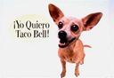 This undated picture provided by Taco Bell shows part of a Taco Bell advertisement featuring a Chihuahua professing his love for tacos.