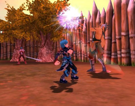 Fiesta is a standard MMORPG with monsters to fight, parties to join, and caves to explore.