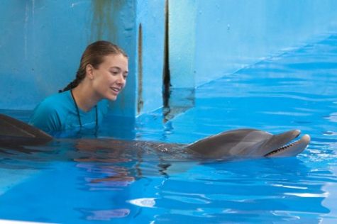 The Warner Bros. family film “Dolphin Tale” held up well with $14.2 million in its second weekend to take the No. 1 spot from “The Lion King.”