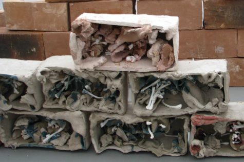 Professor David Brubaker encountered this installation at an art gallery on his 2011 trip to China. The  terracotta bricks, each filled with bones and entrails, were stacked up and lined across the room to resemble the Great Wall of China. Photograph courtesy of David Brubaker.