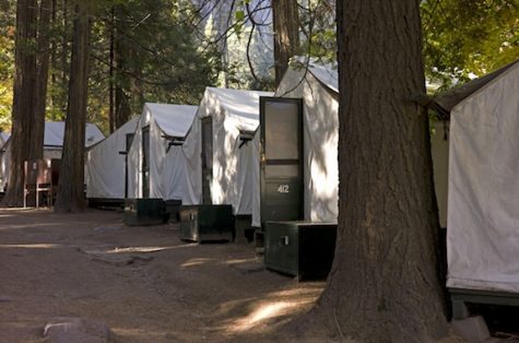 Yosemite officials announced that people have died of a rare, rodent-borne disease after staying in one of Yosemite National Parks most popular lodging areas.