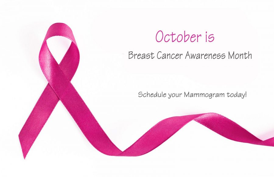 Pink Breast Cancer Ribbon with copy space