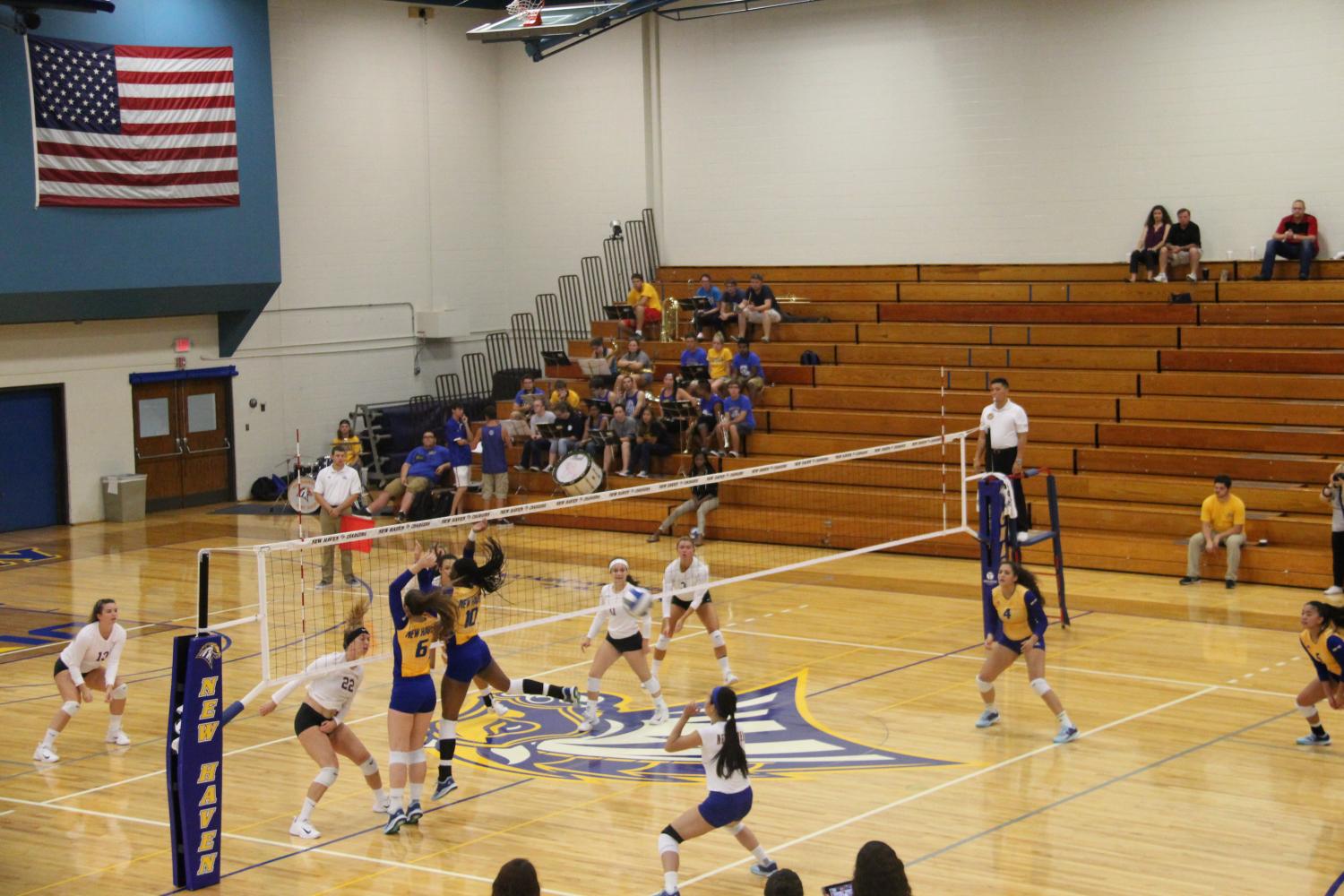 Volleyball Continues to Roll Through NE-10 - The Charger Bulletin