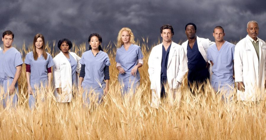 Greys Anatomy Winter Finale Ends with Cliffhanger