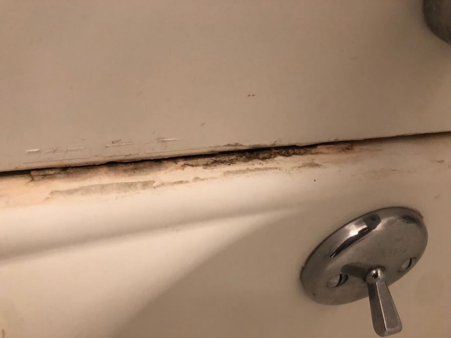 Mold in bathtub in Apartment 31