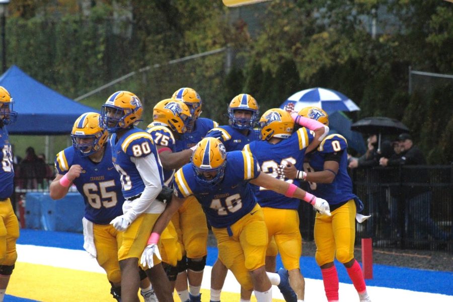 The New Haven football team celebrates a touchdown against Assumption College. Oct. 30, West Haven.
