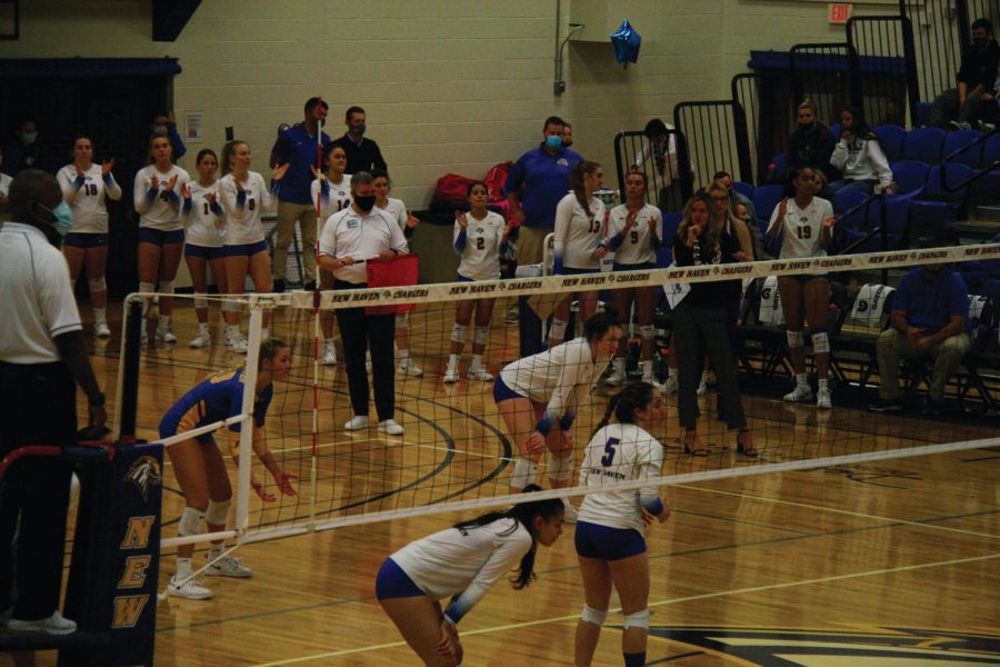 The+Chargers+volleyball+team+plays+Bentley+University%2C+Nov.+13%2C+West+Haven.