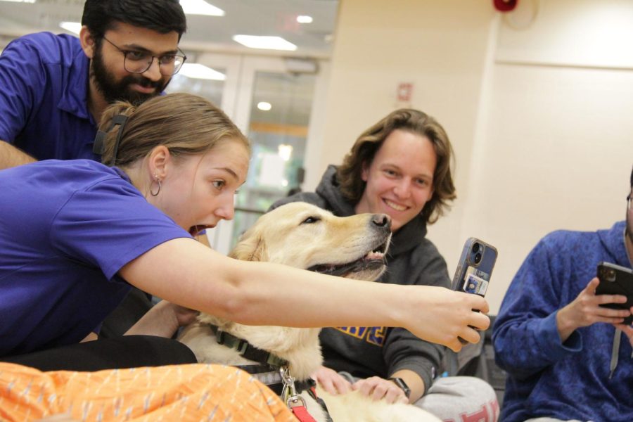 Students take pictures with Jarvis the dog at the Rec Center, West Haven, Oct. 10, 2022. 