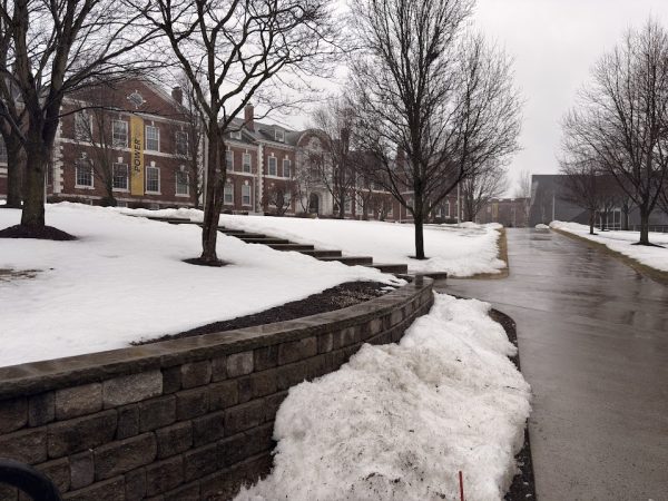 Maxcy Quad after a snowstorm.