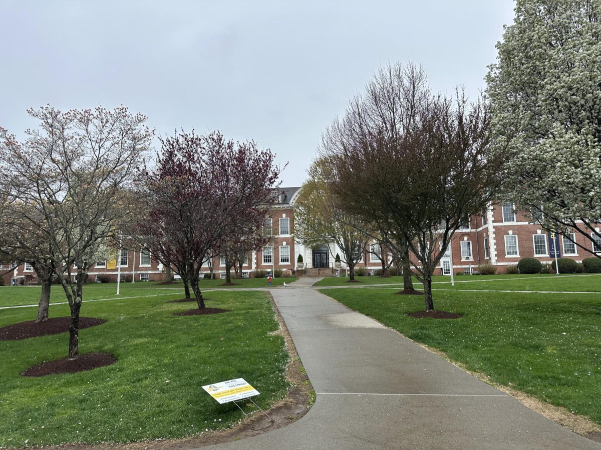 Maxcy quad. 
