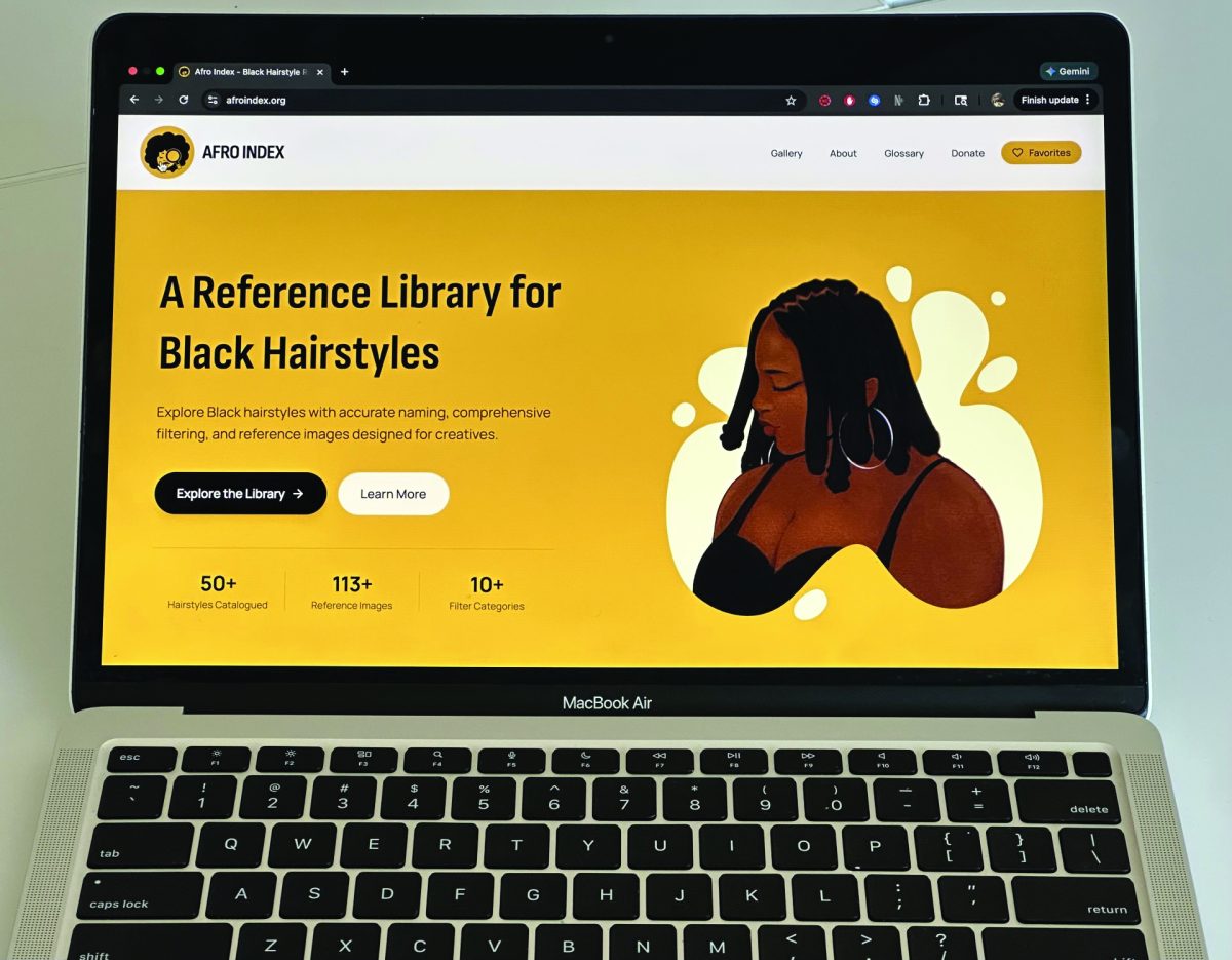 Afro Index website. 
